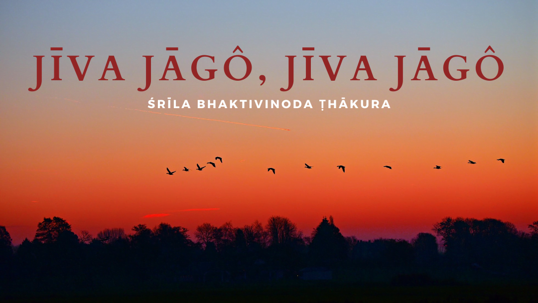 Jiva Jago, Jiva Jago