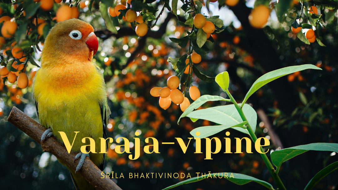 Varaja-vipine