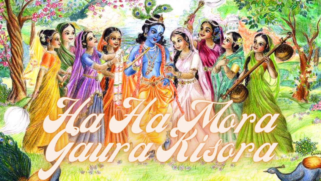 Ha Ha Mora Gaura-Kisora