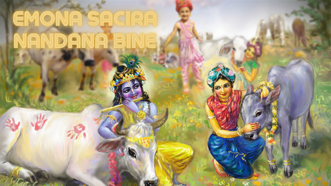 Emona Sacira Nandana Bine