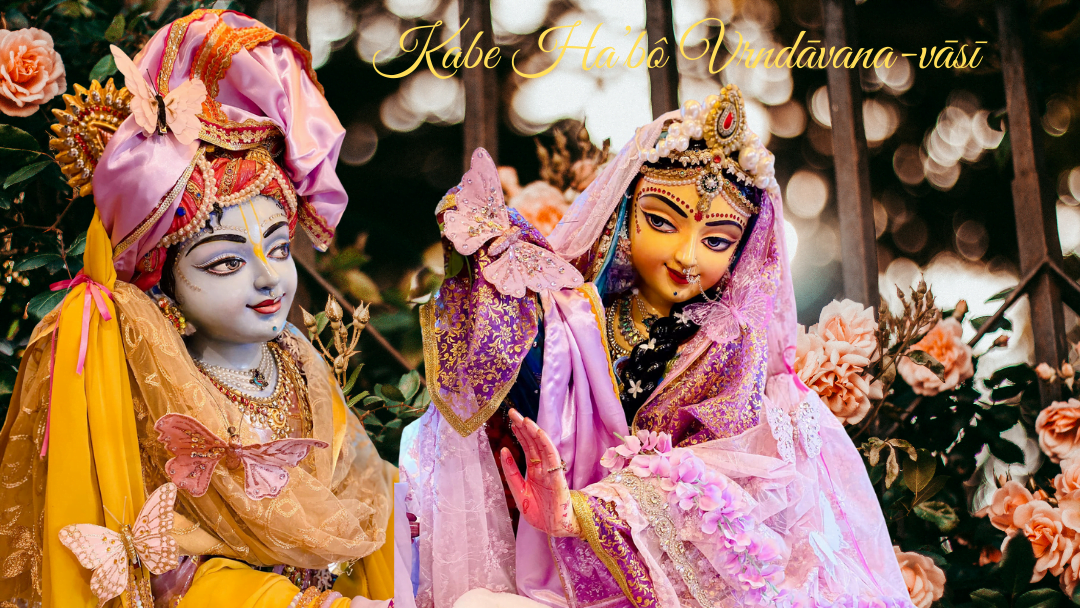  Kabe Ha’bô Vrindavana-vasi 