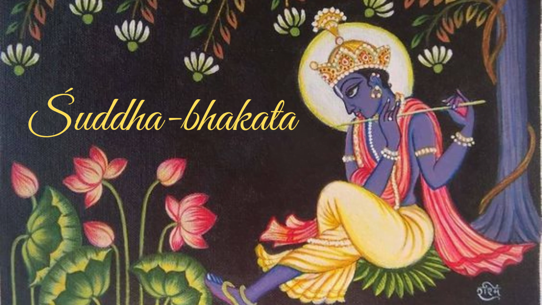Suddha-bakata