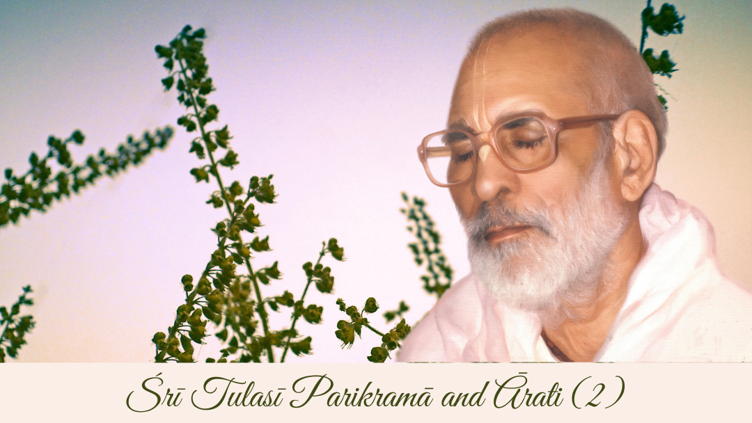 Sri Tulasi Parikrama and Arati (2)