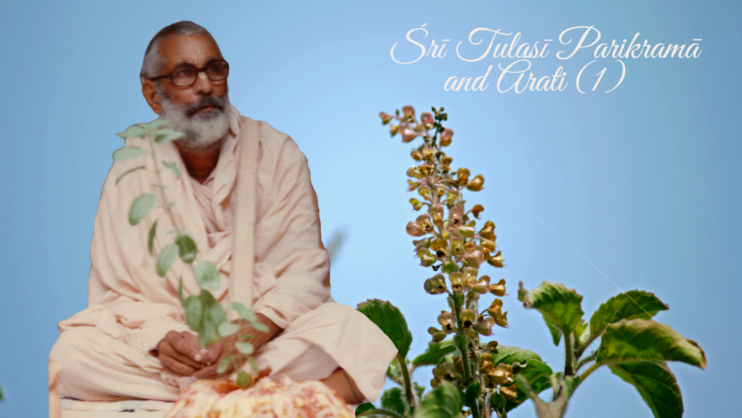Sri Tulasi Parikrama and Arati (1)