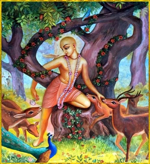 mahaprabhu