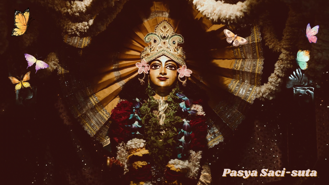 Pasya Saci-suta 