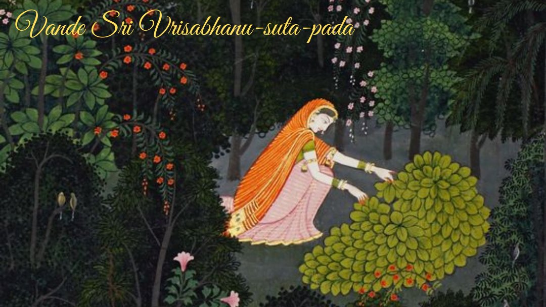 Vande Sri Vrisabhanu-suta-pada 